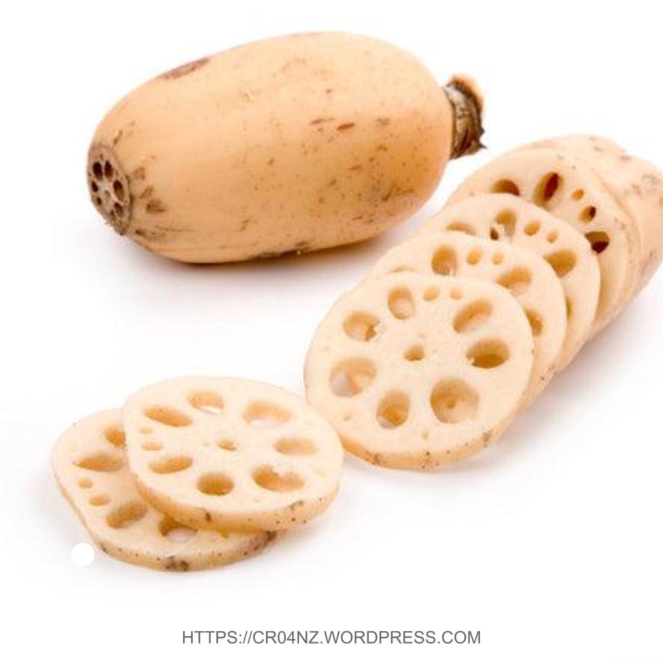 Fresh Lotus Root