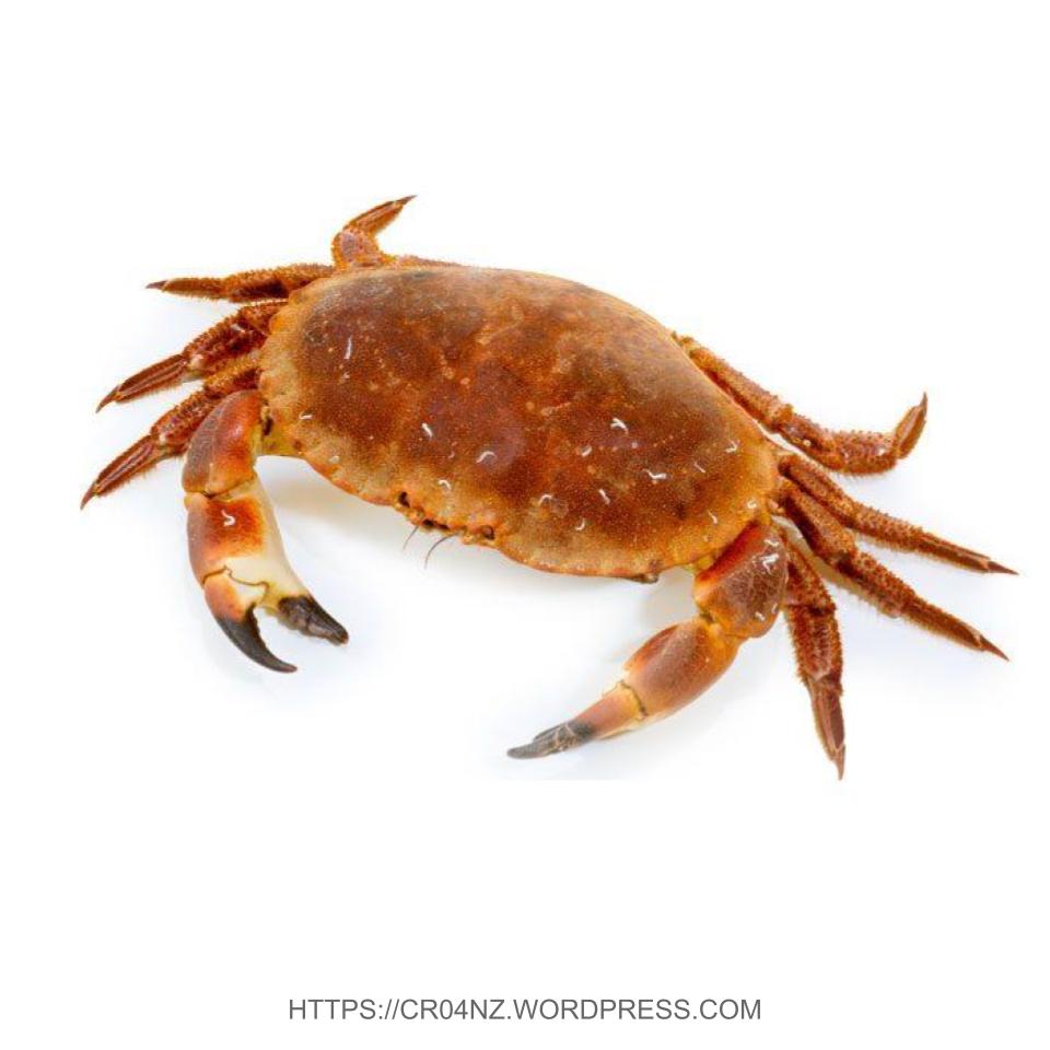 Live Crab – UK