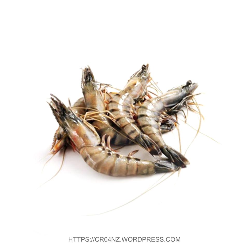 Fresh Prawn