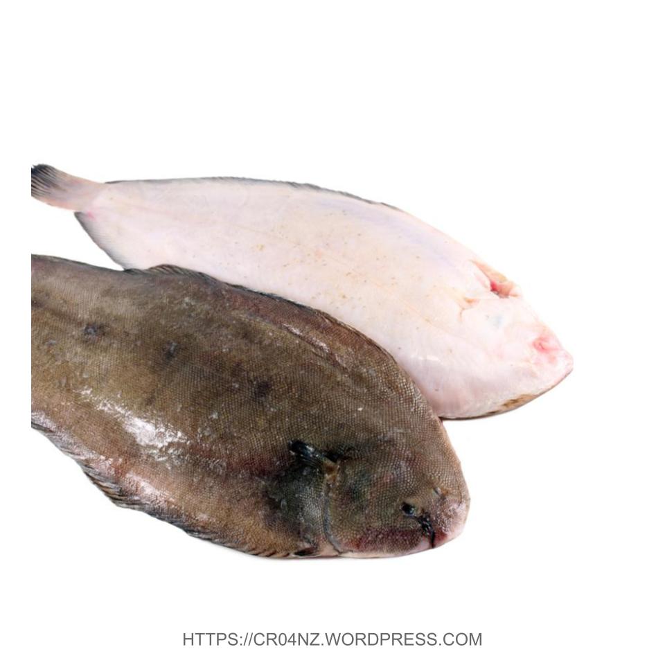 Fresh Dover Sole