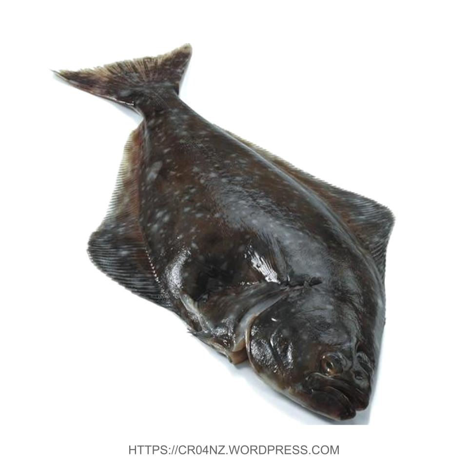 Fresh Halibut