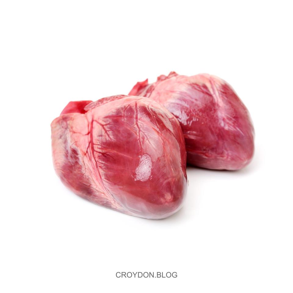 Fresh Pig Heart