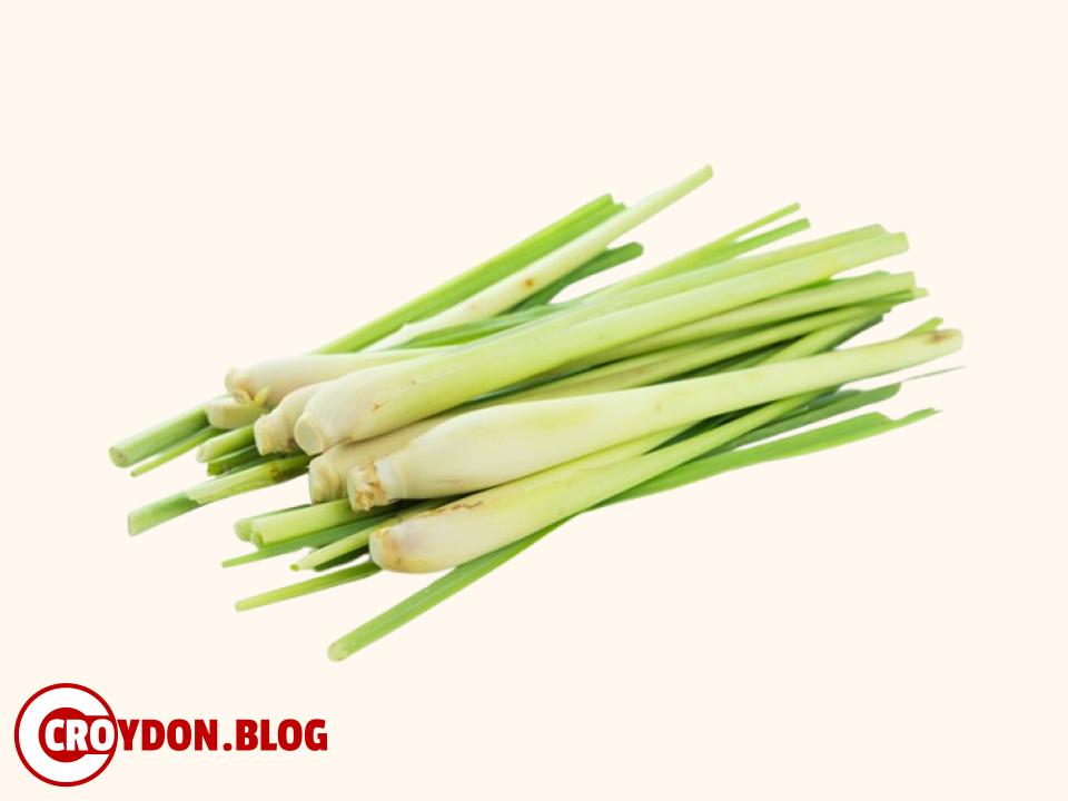 Fresh Lemon Grass